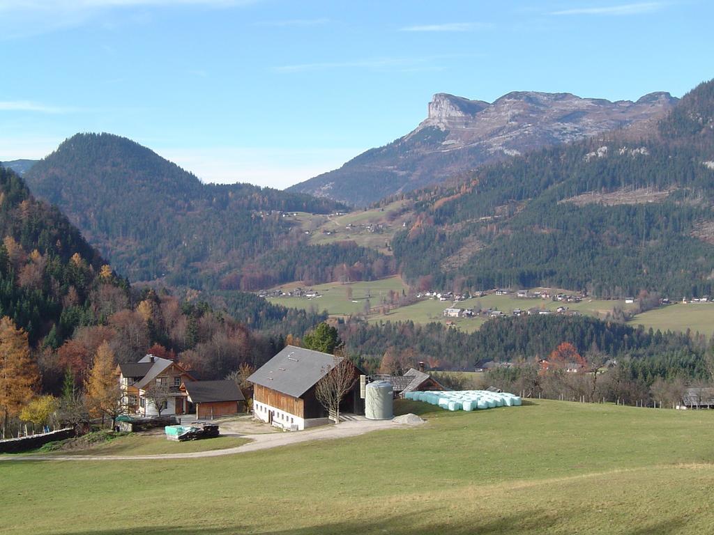 Apartment Kalssnhof Bad Aussee